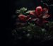 blog_skin_zinest_03-1200x800